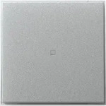 Gira Wippe gerade Kontrollf. 349065
