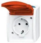 Busch-Jaeger Schuko-Steckdose 20 EWN-14-53