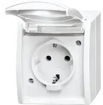 Busch-Jaeger Schuko-Steckdose 20 EW-54