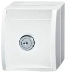 Busch-Jaeger SCHUKO-Steckdose 20 EWSL-101-54