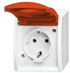 Busch-Jaeger Steckdose 20 EWN-14-54
