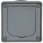 Busch-Jaeger Schuko-Steckdose 20 EFDB2