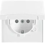 Busch-Jaeger Schuko-Steckdoseneinsatz 20 EUGKB-34-101