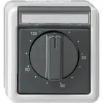 Gira Zeitschalter gr 032130