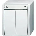 Busch-Jaeger Jalousietaster 2621/4 W-54