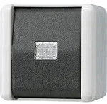 Jung Taster 10AX 250V 831 W