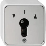 Gira Schl&uuml;sselschalter-Einsatz 014430