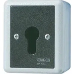 Jung Schl&uuml;sselschalter 833.18 G