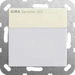 Gira Sensotec LED m.Fernbedien. 236801