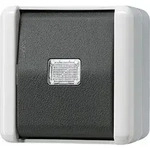 Jung Taster 10AX 250V 833 W