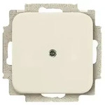 Busch-Jaeger Blindzentralscheibe ws 2538-212