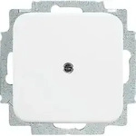 Busch-Jaeger Blindzentralscheibe aws 2538-214