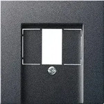 Gira Zentralplatte TAE anth 027628