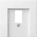 Gira Zentralabdeckung rws-gl 027603