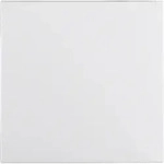 Berker Wippe pws/matt 16201909