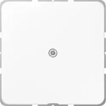 Jung Leitungsauslass aws CD 590 A WW