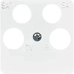 Busch-Jaeger Zentralscheibe aws 1743/10-04-214