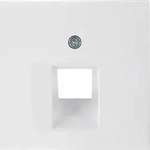 Berker Zentralst&uuml;ck pws/gl 14078989