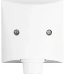 Busch-Jaeger Zentralscheibe aws 2133-34