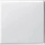 Gira Wippe Wechselsch. rws-gl 029603