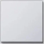Gira Wippe Wechselsch. rws 029666