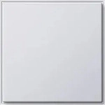 Gira Blindabdeckung rws 026866