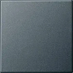 Gira Wippe Wechselsch. anth 029628