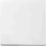 Gira Wippe Wechselsch. rws 029627