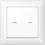Jung Abdeckung Symbole aws AS 590-5 P WW