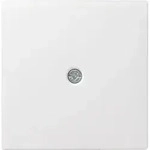 Gira Zentralpl.Schnurabl. rws 027427