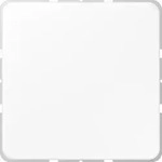 Jung Blind-Abdeckung aws CD 594-0 WW