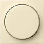 Gira Abdeckung cws-gl 065001