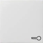 Gira Wippe T&uuml;r rws-gl 028703