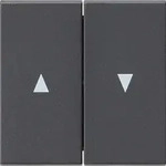 Gira Wippe Jalousiesch. anth 029428