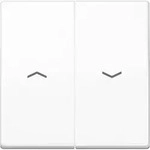 Jung Wippe Symbole aws AS 591-5 P WW