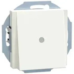 Merten Zentralplatte pws/gl 296319