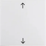 Berker Wippe pws/gl 16208919
