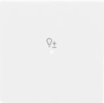Busch-Jaeger Wippe 1-f Symbol Dimmer 6234-10-84
