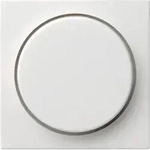 Gira Abdeckung rws-gl 065003