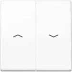 Jung Wippe Symbole aws AS 591-5 PBF WW