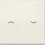 Jung Wippe Symbole ws ABAS 591-5 P