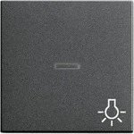 Gira Wippe Licht anth 067428