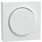 Merten Zentralplatte aws/gl MEG5250-0325