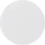 Berker Wippe pows/gl 16202089
