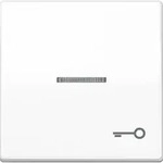 Jung Wippe Sym.T&Uuml;R/Lichtl.aws AS 591 KO5T WW