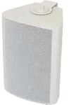 Visaton Geh&auml;uselautsprecher WB 10 100 V+8 Ohm ws