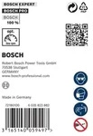 Bosch Power Tools Schalungsbohrer 2608596343