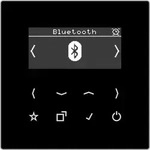 Jung Smart DAB+ Digitalradio DAB LS BT SW