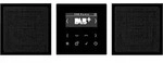 Jung Smart Radio DAB+ DAB LS2 SW