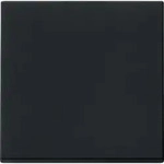 Gira Wippe sw 0296005